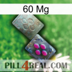 60 Mg 38